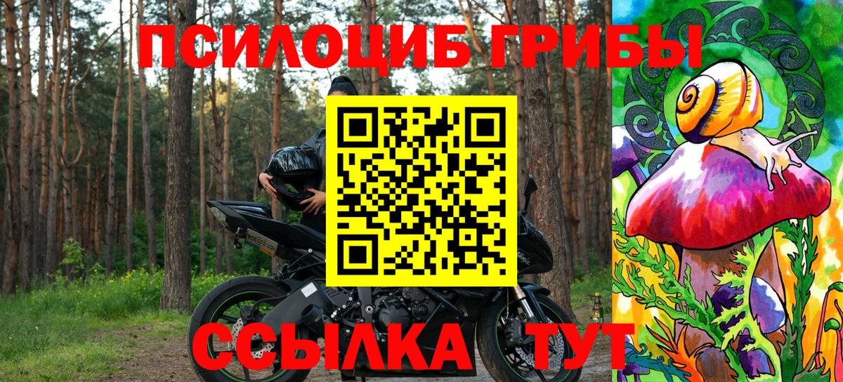 Галлюциногенные грибы Psilocybe Алатырь