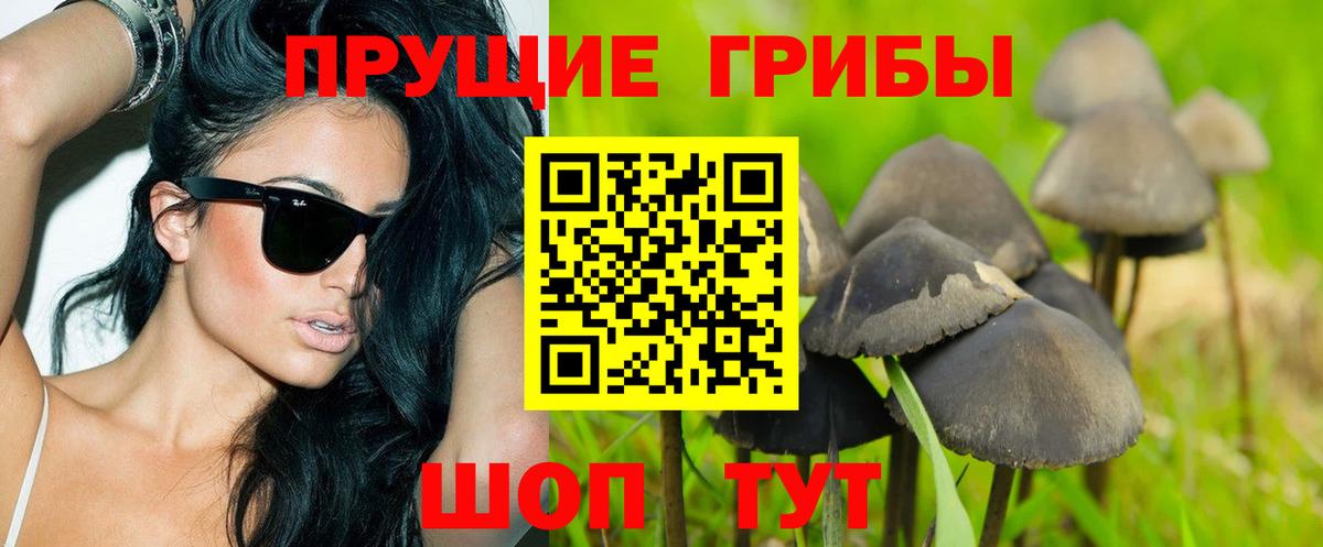 купить   Галлюциногенные грибы Cubensis  Галлюциногенные грибы MAGIC MUSHROOMS  Вход с VPN  Алатырь 