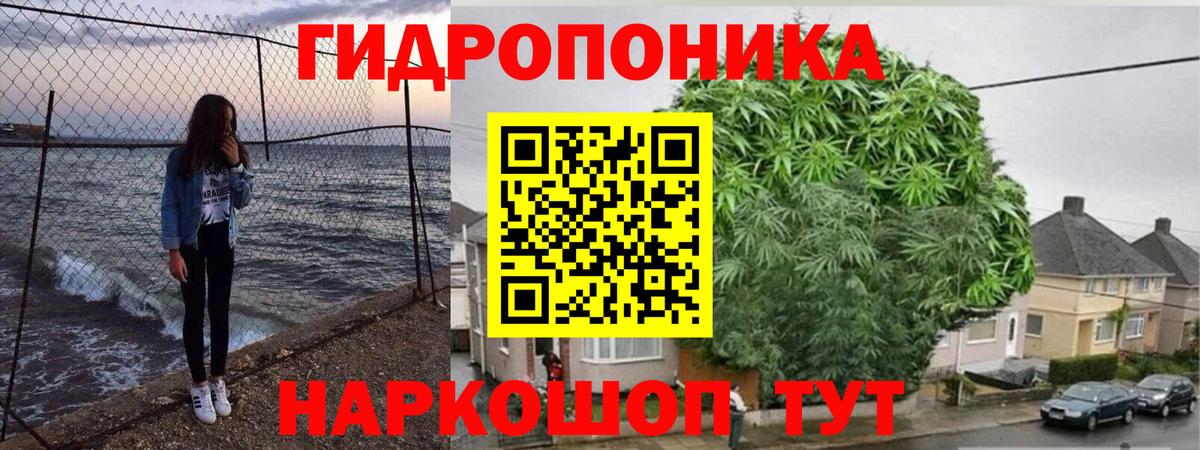 Бошки марихуана MAZAR  Вход с VPN  Канабис индика  Шишки марихуана Ganja  Алатырь  Марихуана White Widow 